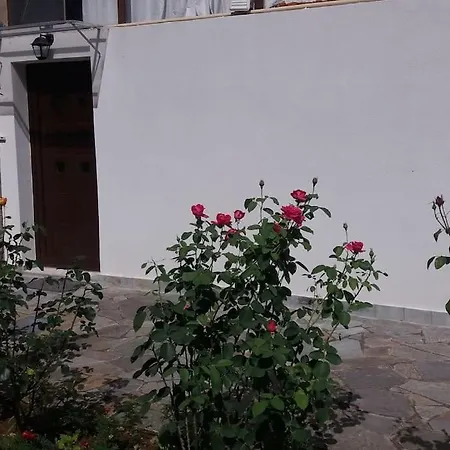 Στούντιο κοντά στο Πανεπιστήμιο, περιοχή κόμβος ΤΕΙ Lägenhet *